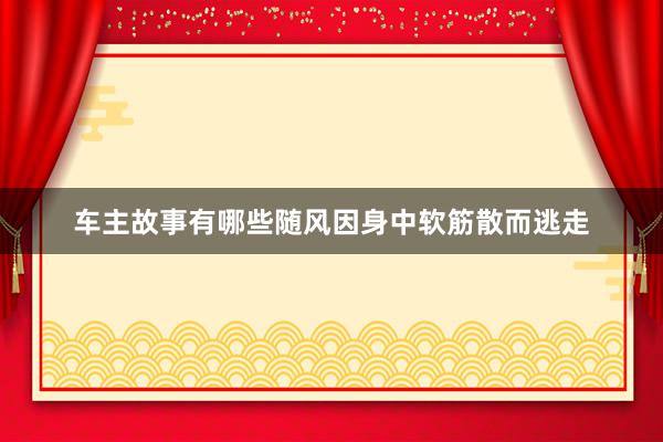 车主故事有哪些随风因身中软筋散而逃走