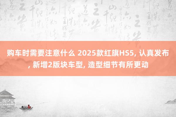 购车时需要注意什么 2025款红旗HS5, 认真发布, 新增2版块车型, 造型细节有所更动