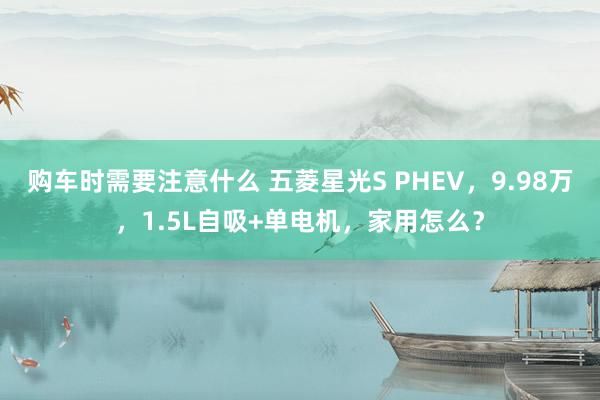 购车时需要注意什么 五菱星光S PHEV，9.98万，1.5L自吸+单电机，家用怎么？