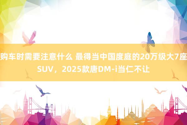 购车时需要注意什么 最得当中国度庭的20万级大7座SUV，2025款唐DM-i当仁不让