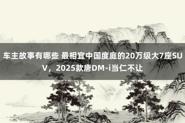 车主故事有哪些 最相宜中国度庭的20万级大7座SUV，2025款唐DM-i当仁不让