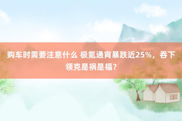 购车时需要注意什么 极氪通宵暴跌近25%，吞下领克是祸是福？