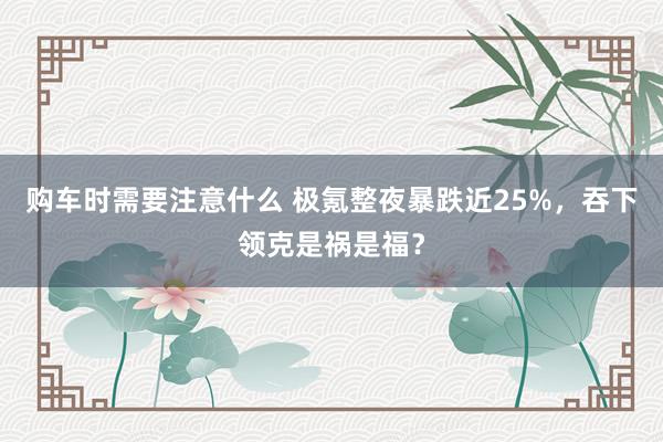 购车时需要注意什么 极氪整夜暴跌近25%，吞下领克是祸是福？