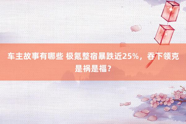 车主故事有哪些 极氪整宿暴跌近25%，吞下领克是祸是福？