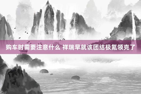 购车时需要注意什么 祥瑞早就该团结极氪领克了