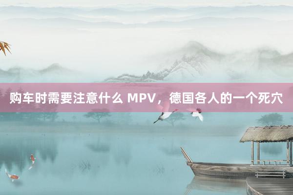 购车时需要注意什么 MPV，德国各人的一个死穴