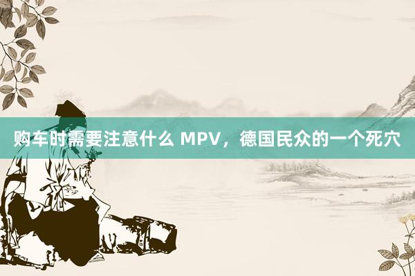 购车时需要注意什么 MPV，德国民众的一个死穴