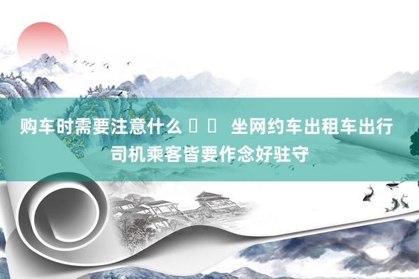 购车时需要注意什么 		 坐网约车出租车出行 司机乘客皆要作念好驻守