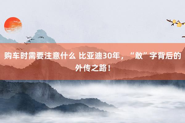 购车时需要注意什么 比亚迪30年，“敢”字背后的外传之路！