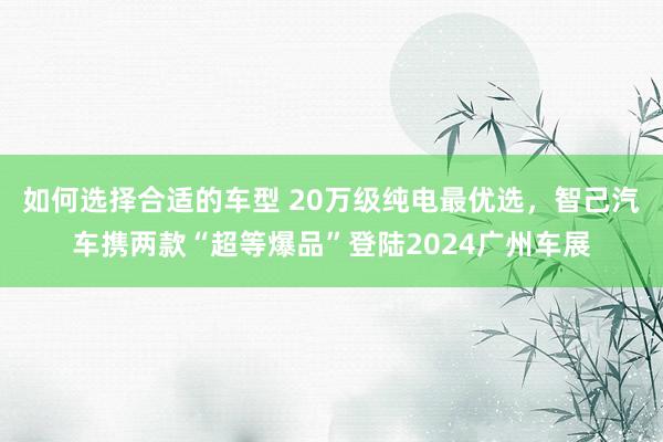 如何选择合适的车型 20万级纯电最优选，智己汽车携两款“超等爆品”登陆2024广州车展