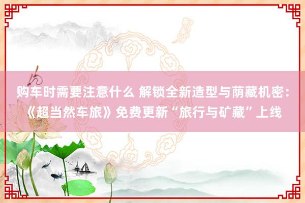 购车时需要注意什么 解锁全新造型与荫藏机密：《超当然车旅》免费更新“旅行与矿藏”上线