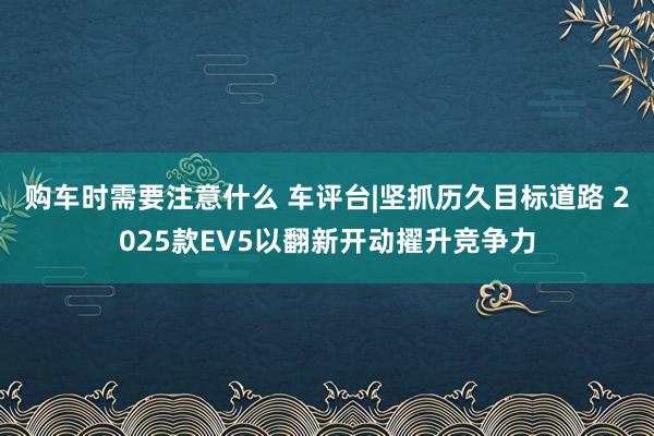 购车时需要注意什么 车评台|坚抓历久目标道路 2025款EV5以翻新开动擢升竞争力