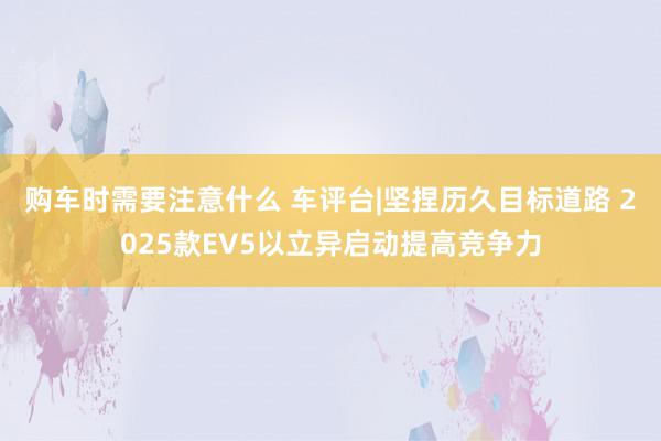 购车时需要注意什么 车评台|坚捏历久目标道路 2025款EV5以立异启动提高竞争力