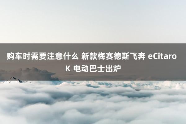 购车时需要注意什么 新款梅赛德斯飞奔 eCitaro K 电动巴士出炉