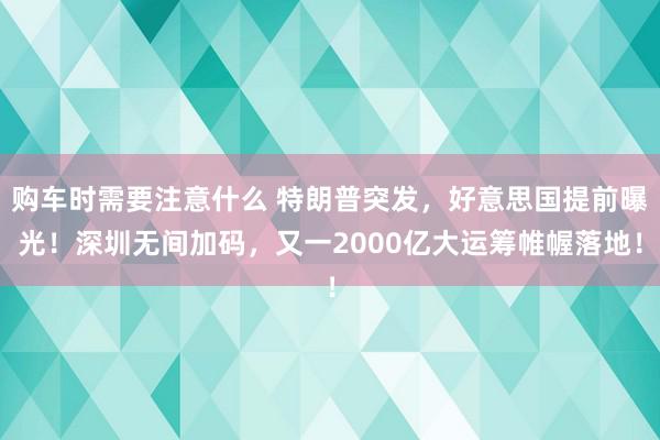 购车时需要注意什么 特朗普突发，好意思国提前曝光！深圳无间加码，又一2000亿大运筹帷幄落地！