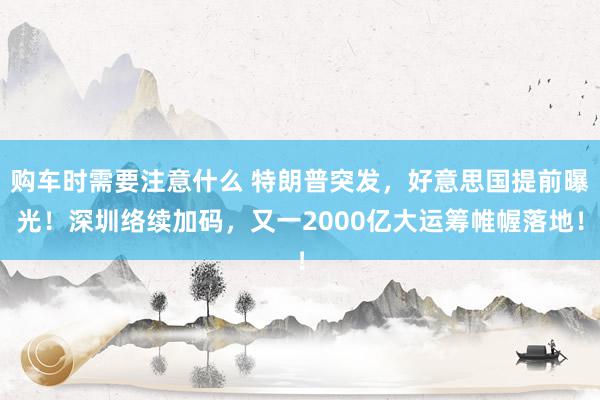 购车时需要注意什么 特朗普突发，好意思国提前曝光！深圳络续加码，又一2000亿大运筹帷幄落地！