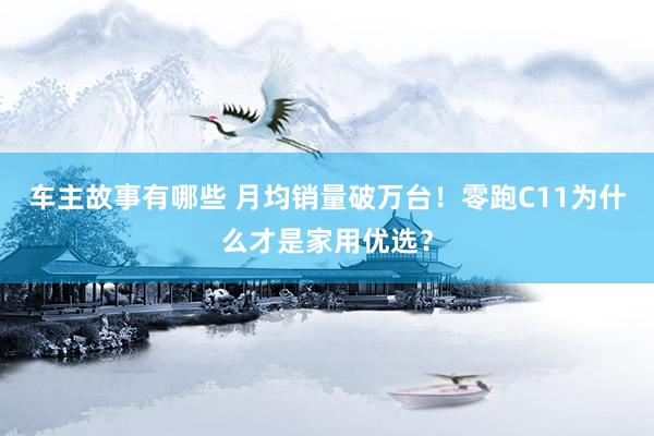 车主故事有哪些 月均销量破万台！零跑C11为什么才是家用优选？