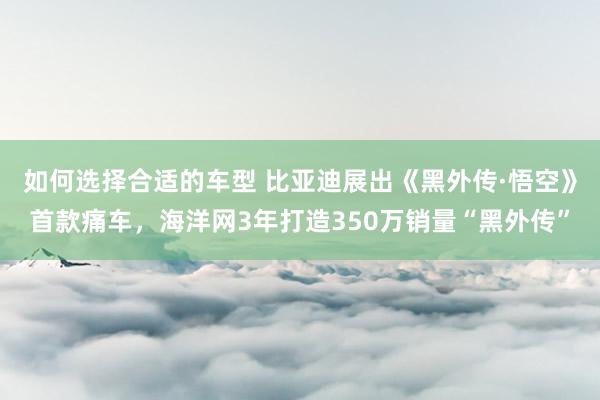 如何选择合适的车型 比亚迪展出《黑外传·悟空》首款痛车，海洋网3年打造350万销量“黑外传”