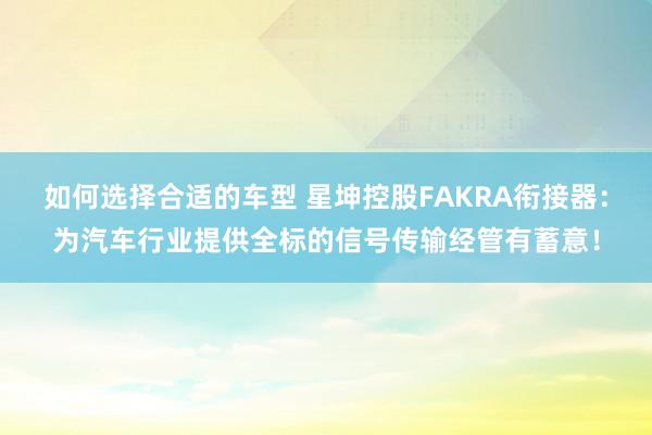 如何选择合适的车型 星坤控股FAKRA衔接器：为汽车行业提供全标的信号传输经管有蓄意！