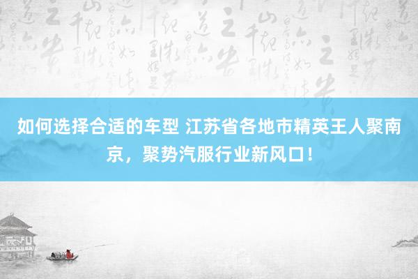 如何选择合适的车型 江苏省各地市精英王人聚南京，聚势汽服行业新风口！