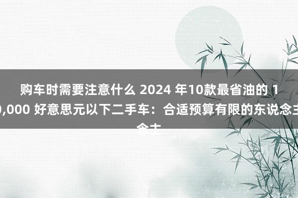 购车时需要注意什么 2024 年10款最省油的 10,000 好意思元以下二手车：合适预算有限的东说念主