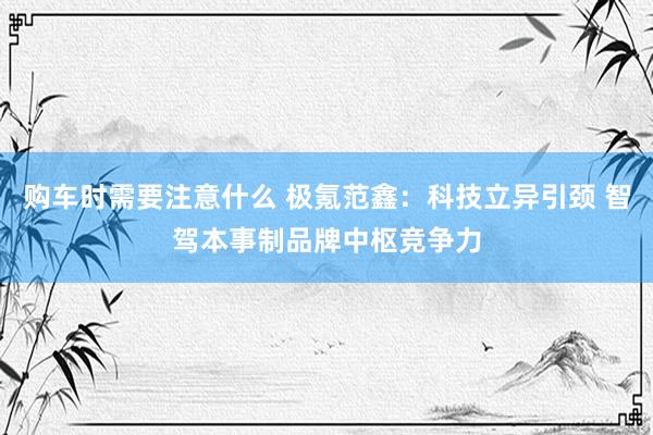 购车时需要注意什么 极氪范鑫：科技立异引颈 智驾本事制品牌中枢竞争力