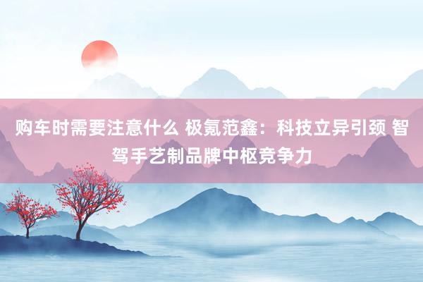 购车时需要注意什么 极氪范鑫：科技立异引颈 智驾手艺制品牌中枢竞争力