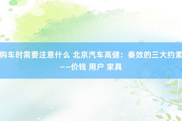 购车时需要注意什么 北京汽车高健：奏效的三大约素——价钱 用户 家具