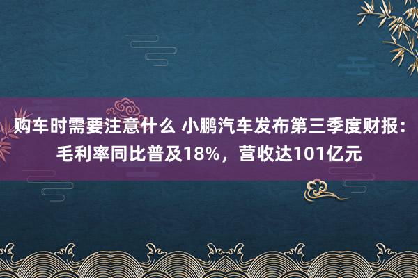 购车时需要注意什么 小鹏汽车发布第三季度财报：毛利率同比普及18%，营收达101亿元