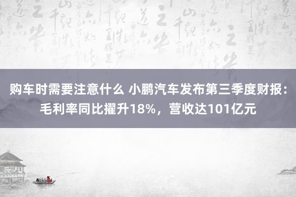 购车时需要注意什么 小鹏汽车发布第三季度财报：毛利率同比擢升18%，营收达101亿元