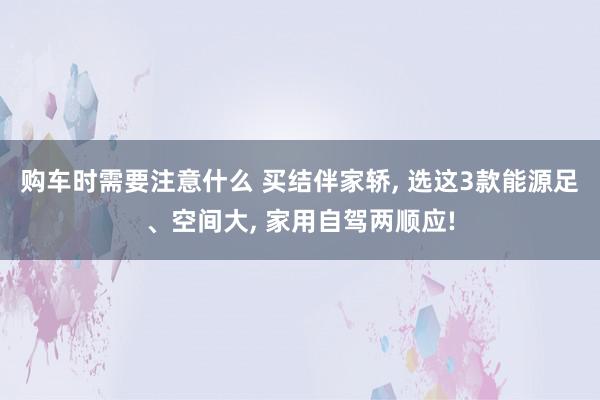 购车时需要注意什么 买结伴家轿, 选这3款能源足、空间大, 家用自驾两顺应!