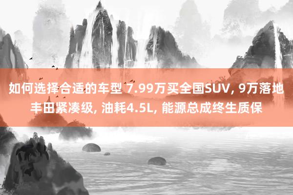 如何选择合适的车型 7.99万买全国SUV, 9万落地丰田紧凑级, 油耗4.5L, 能源总成终生质保