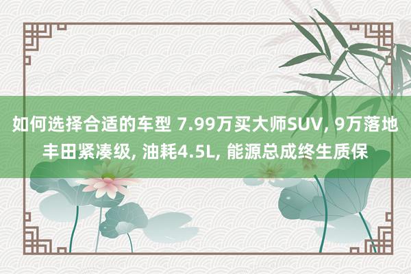 如何选择合适的车型 7.99万买大师SUV, 9万落地丰田紧凑级, 油耗4.5L, 能源总成终生质保