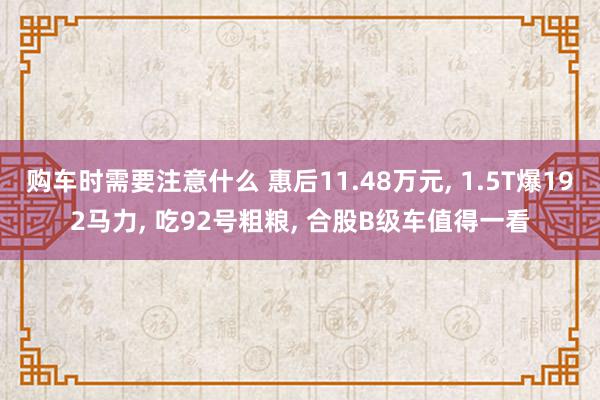 购车时需要注意什么 惠后11.48万元, 1.5T爆192马力, 吃92号粗粮, 合股B级车值得一看