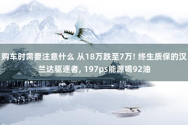 购车时需要注意什么 从18万跌至7万! 终生质保的汉兰达驱逐者, 197ps能源喝92油