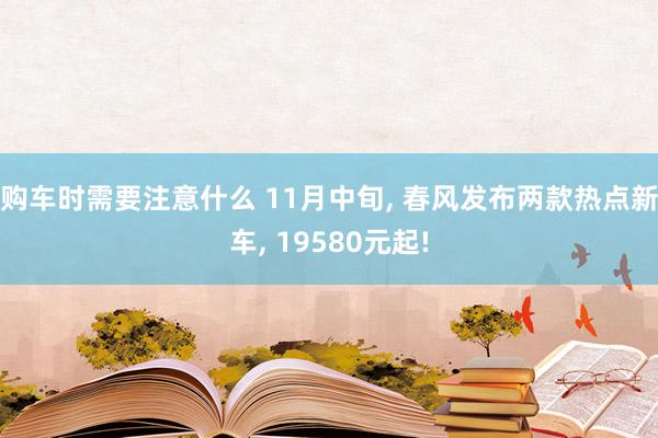 购车时需要注意什么 11月中旬, 春风发布两款热点新车, 19580元起!