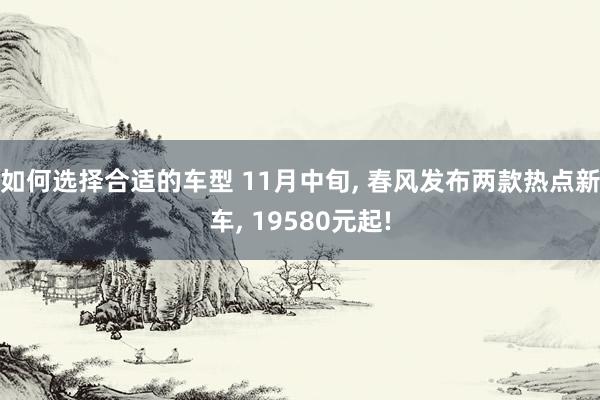 如何选择合适的车型 11月中旬, 春风发布两款热点新车, 19580元起!