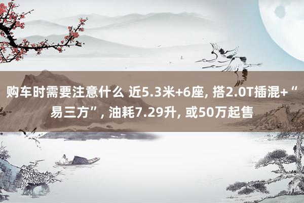 购车时需要注意什么 近5.3米+6座, 搭2.0T插混+“易三方”, 油耗7.29升, 或50万起售