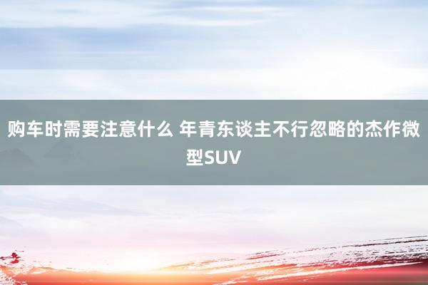 购车时需要注意什么 年青东谈主不行忽略的杰作微型SUV