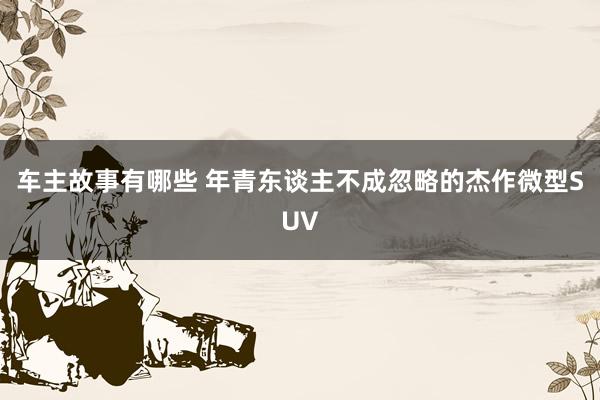 车主故事有哪些 年青东谈主不成忽略的杰作微型SUV