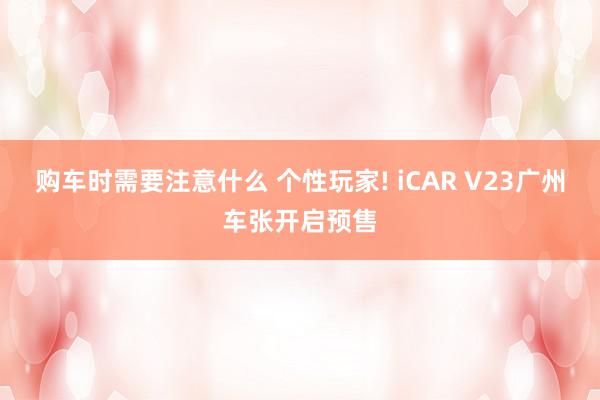 购车时需要注意什么 个性玩家! iCAR V23广州车张开启预售