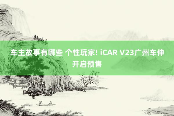 车主故事有哪些 个性玩家! iCAR V23广州车伸开启预售