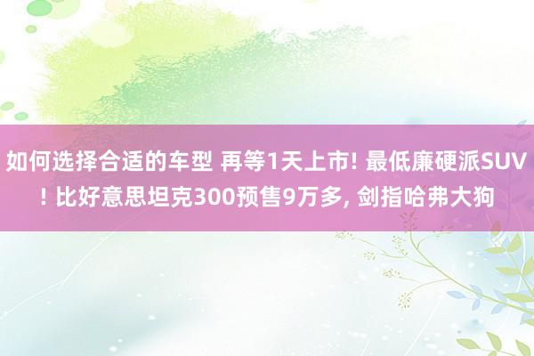 如何选择合适的车型 再等1天上市! 最低廉硬派SUV! 比好意思坦克300预售9万多, 剑指哈弗大狗