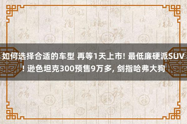 如何选择合适的车型 再等1天上市! 最低廉硬派SUV! 逊色坦克300预售9万多, 剑指哈弗大狗