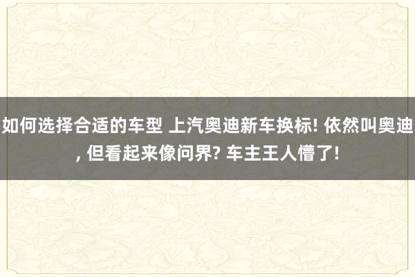 如何选择合适的车型 上汽奥迪新车换标! 依然叫奥迪, 但看起来像问界? 车主王人懵了!