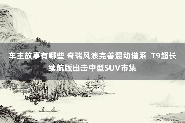 车主故事有哪些 奇瑞风浪完善混动谱系  T9超长续航版出击中型SUV市集