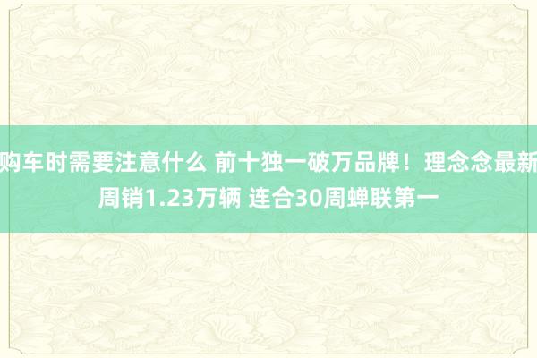 购车时需要注意什么 前十独一破万品牌！理念念最新周销1.23万辆 连合30周蝉联第一