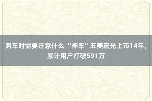 购车时需要注意什么 “神车”五菱宏光上市14年，累计用户打破591万