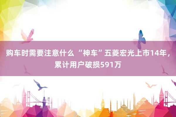 购车时需要注意什么 “神车”五菱宏光上市14年，累计用户破损591万