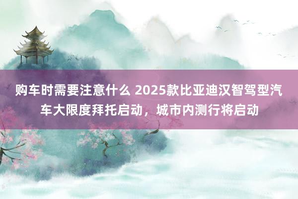 购车时需要注意什么 2025款比亚迪汉智驾型汽车大限度拜托启动，城市内测行将启动